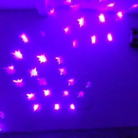 Lichteffekt: Martin Wizard 13 Gobos 7 Farben 250 Watt Entladungslampe